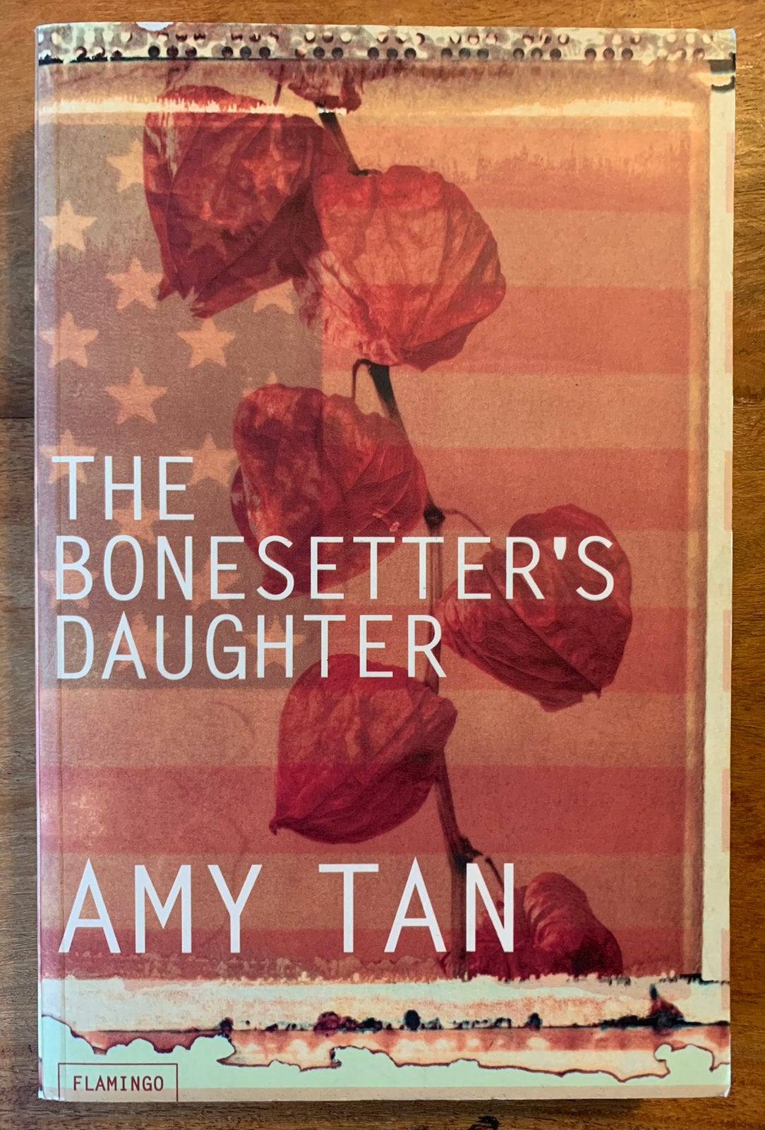 Amy Tan - The Bonesetter’s Daughter, Ophalen of Verzenden, Gelezen
