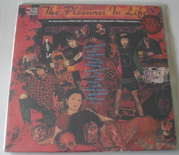 THE PLEASURES IN LIFE - Hardcore/Death Metal Compilation, Complilatie, Ophalen of Verzenden, Gebruikt