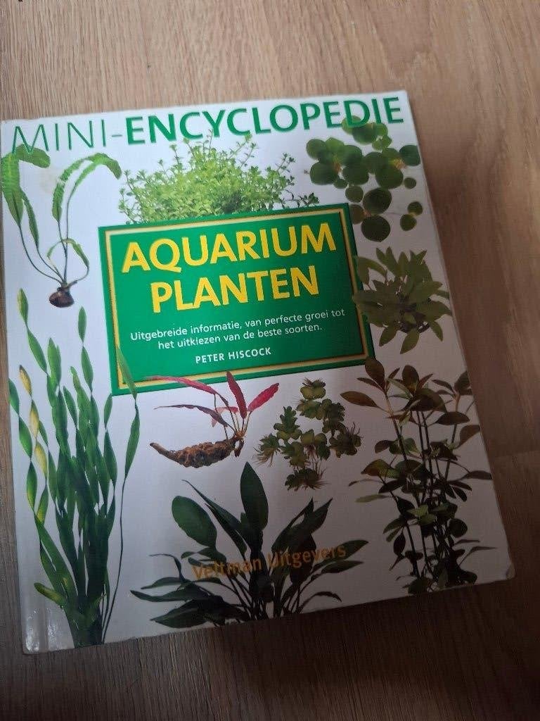 Boek: Mini-encyclopedie Aquariumplanten – Peter Hiscock, Ophalen of Verzenden, Gelezen