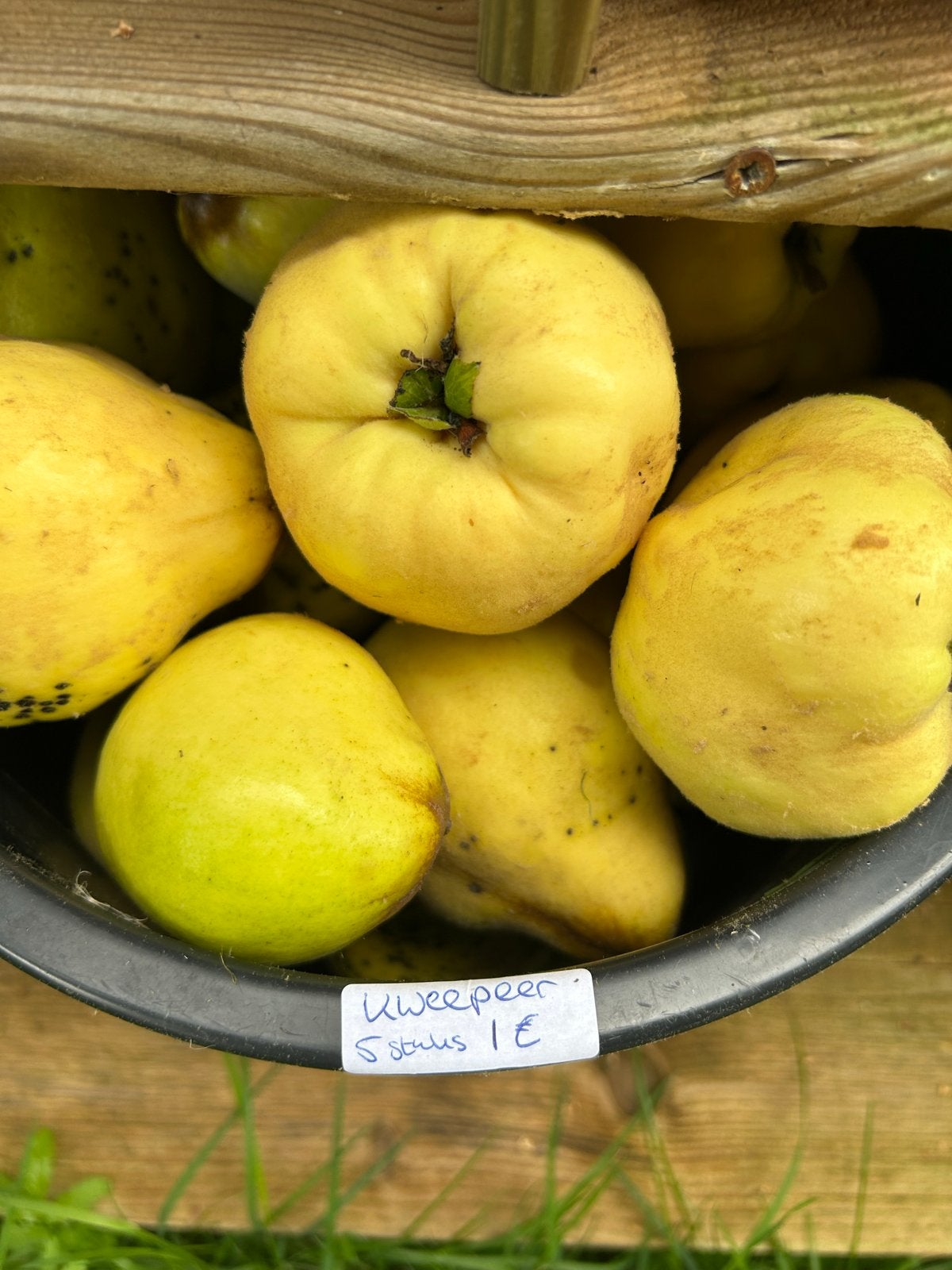 Kweeperen, handperen en stoofperen - Onbespoten, Diversen, Ophalen
