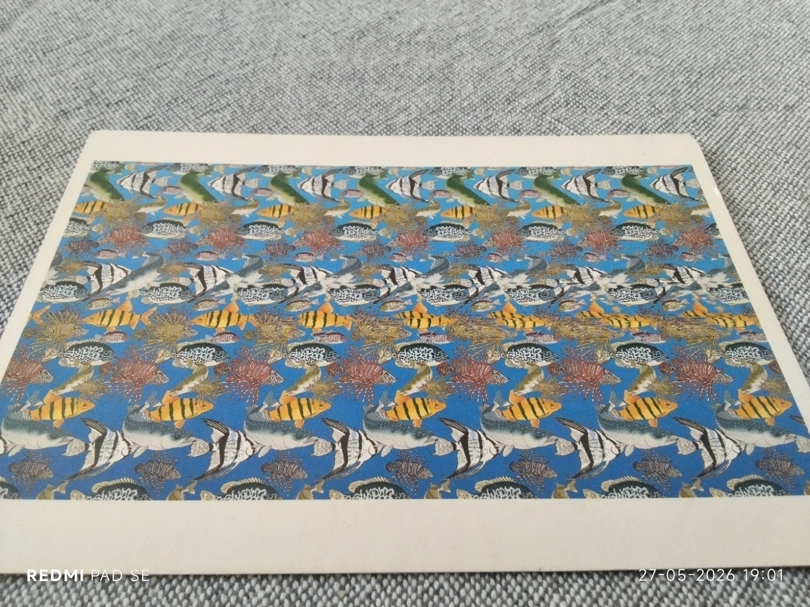 Kunstansichtkaart - Magische Vissen 3D Optische Il, Verzamelen, Ansichtkaarten | Themakaarten, Ophalen of Verzenden, 1980 tot heden
