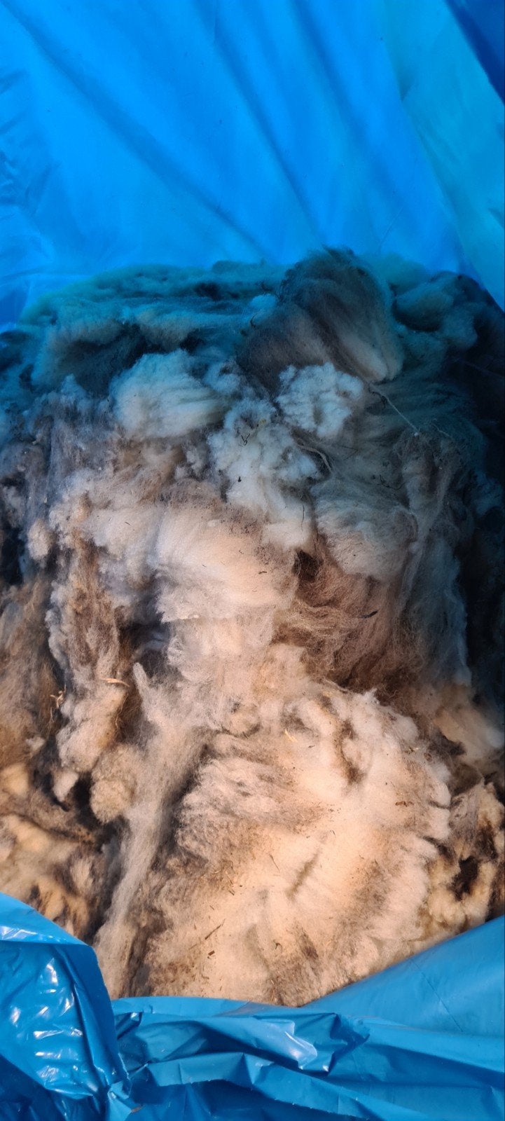 6 zakken schapen wol ongewassen, Wol, 120 cm of meer, Ophalen of Verzenden, Nieuw