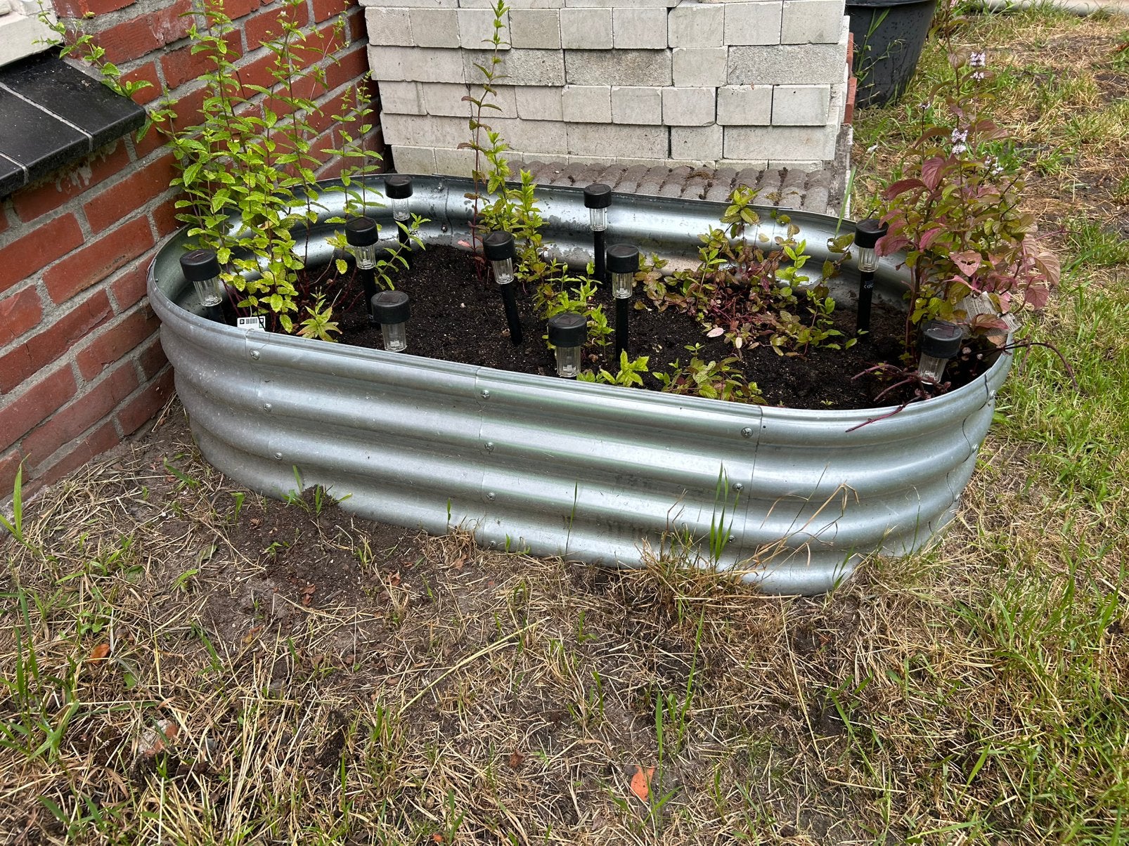 Moestuinbakken/ plantenbakken, Ophalen, Minder dan 30 cm, 100 cm of meer, Nieuw