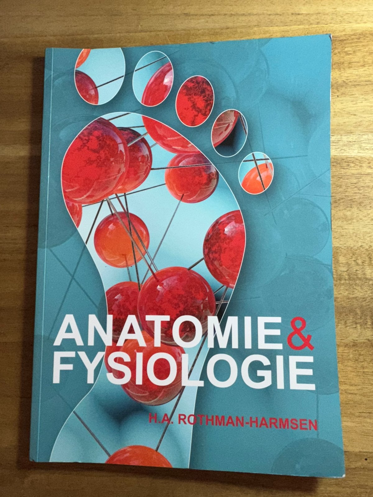 Anatomie & Fysiologie H.A. Rothman-Harmsen 2024, Ophalen of Verzenden, Zo goed als nieuw, Overige niveaus
