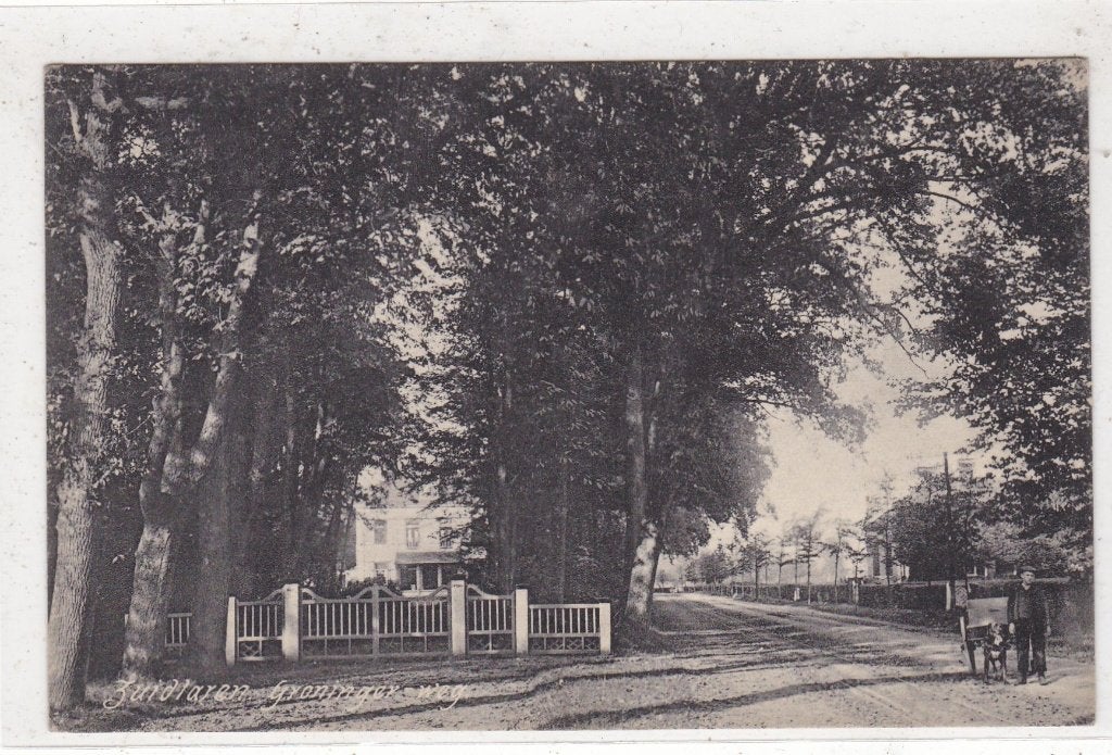Zuidlaren-Groninger weg met Hondenkar circa 1908, Ophalen of Verzenden, Voor 1920, Ongelopen, Drenthe
