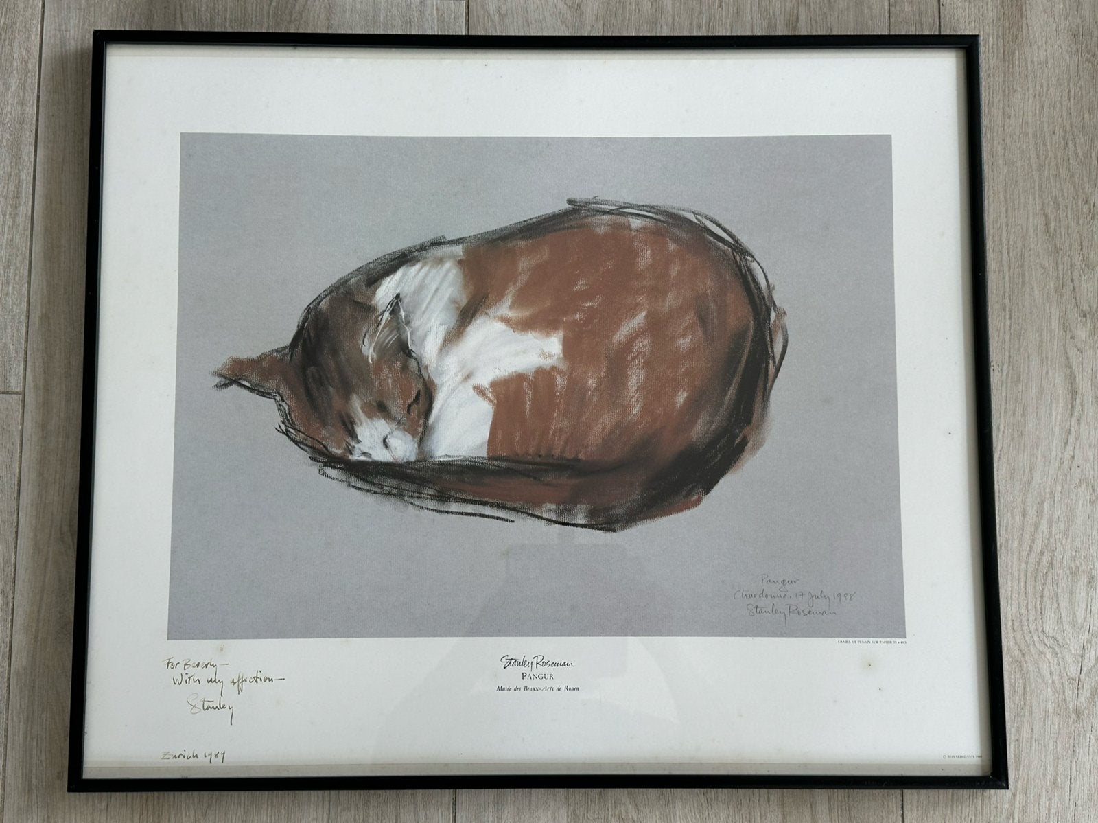 Stanley Roseman Oude art print schilderij Poes 60/50 cm, Antiek en Kunst, Kunst | Schilderijen | Klassiek, Ophalen of Verzenden