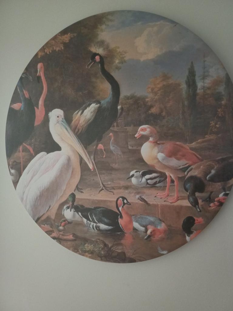 Rond canvas het drijvend veertje, Ophalen, Zo goed als nieuw