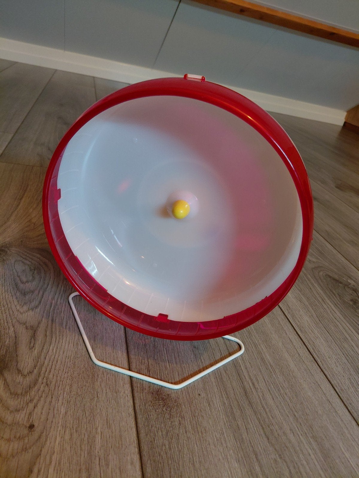 Loopwiel voor knaagdieren NIEUW, Ophalen of Verzenden, Nieuw, Loopwiel of Rad