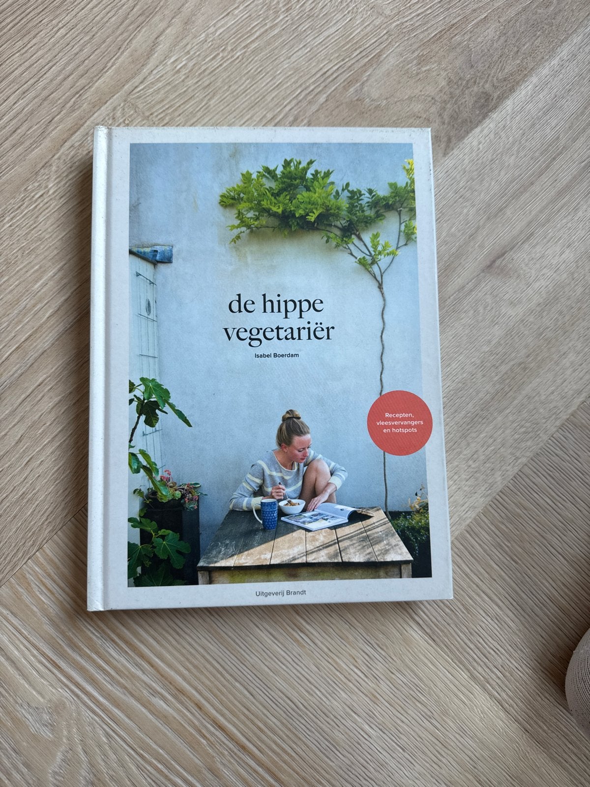 De Hippe Vegetariër - Isabel Boerdam kookboek, Boeken, Voorgerechten en Soepen, Ophalen of Verzenden, Zo goed als nieuw, Gezond koken