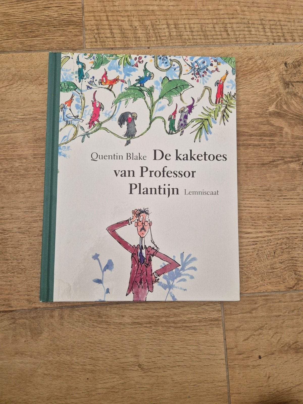 De kaketoes van Professor Plantijn - Quentin Blake, Ophalen of Verzenden, Gelezen, Quentin Blake, Fictie algemeen