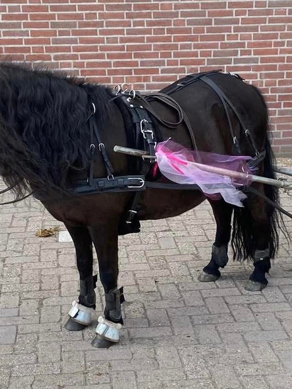 Mentuig maat shet/a pony, Ophalen of Verzenden, Gebruikt, Recreatie