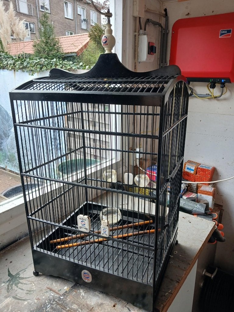 Grote kooi  te koop, Ophalen, Nieuw, Hout, Vogelkooi