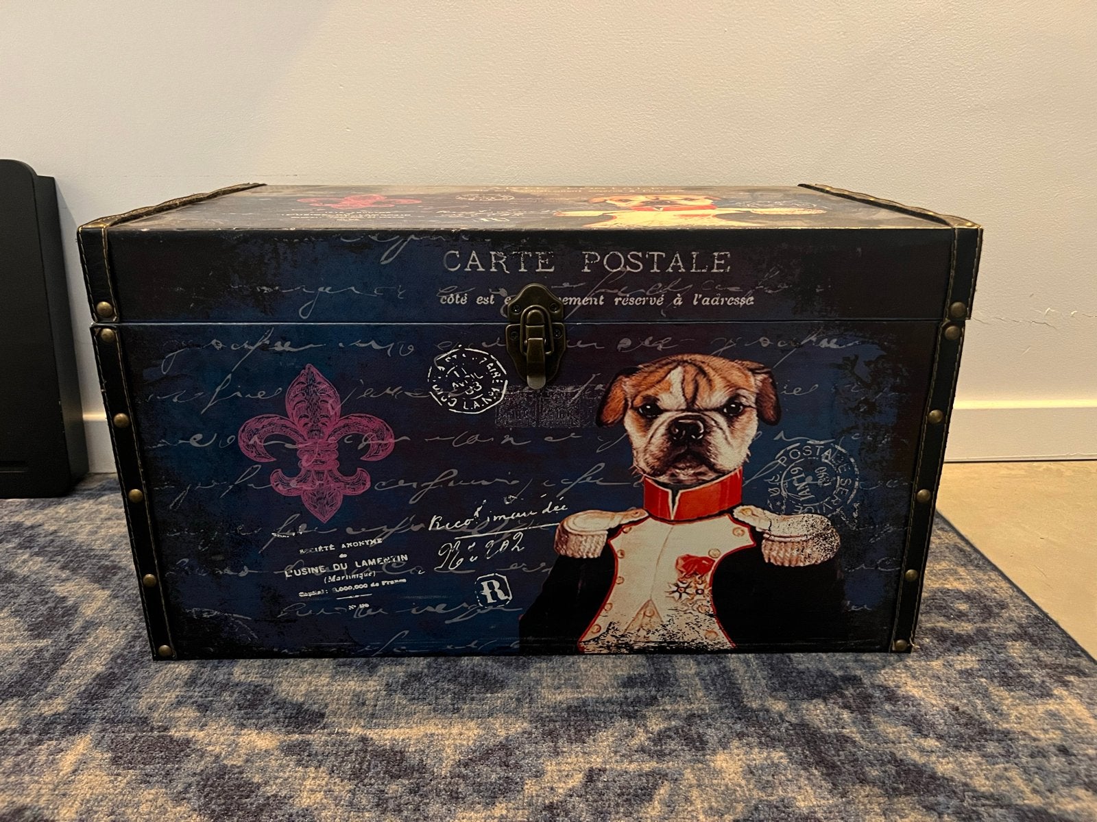 Decoratieve opbergkist met hond en Franse details, Ophalen, Overige materialen, Gebruikt, 50 tot 100 cm