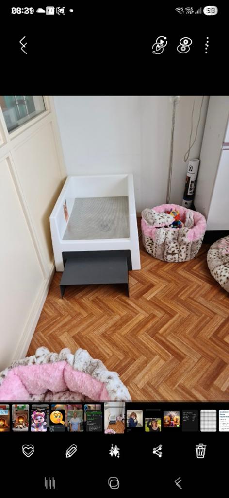 Honden toilet, Ophalen