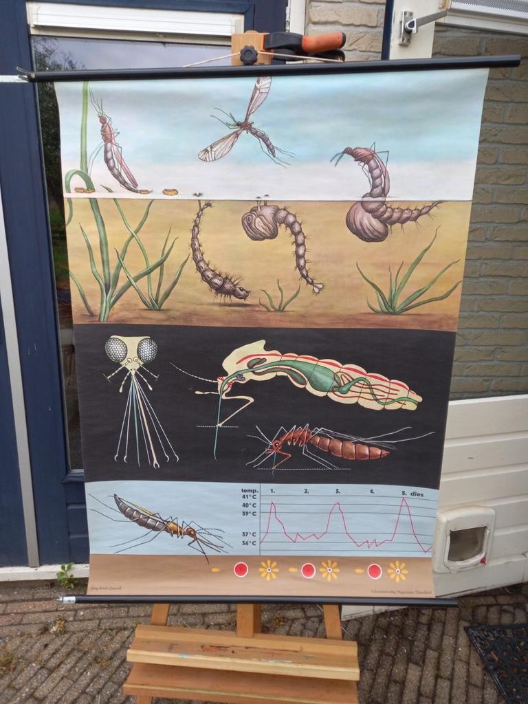 Meerdere schoolplaten, Ophalen, Overige thema's