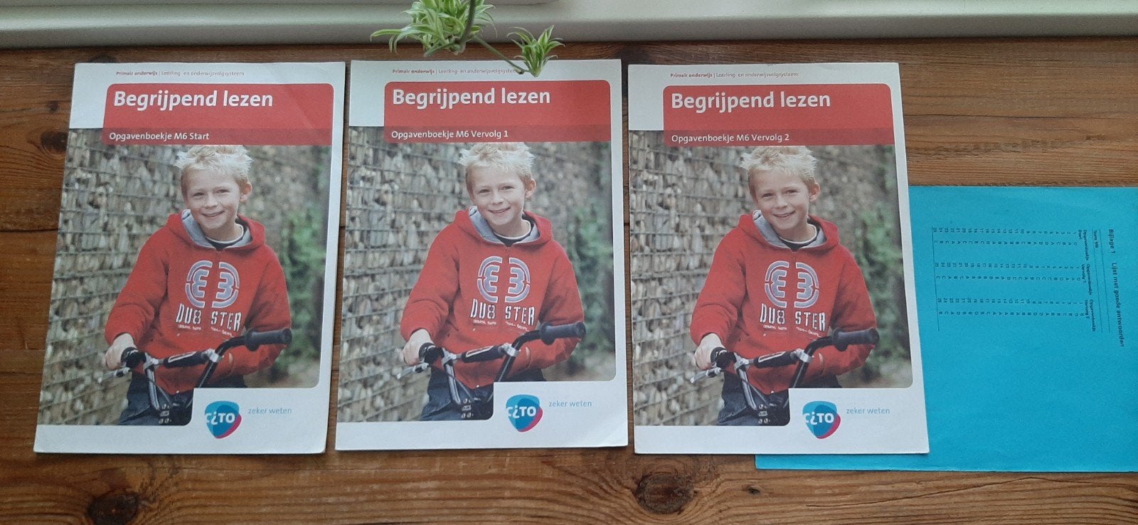 Cito Oefenen Begrijpend Lezen  Gr.6, Ophalen, Zo goed als nieuw, Overige niveaus, Nederlands