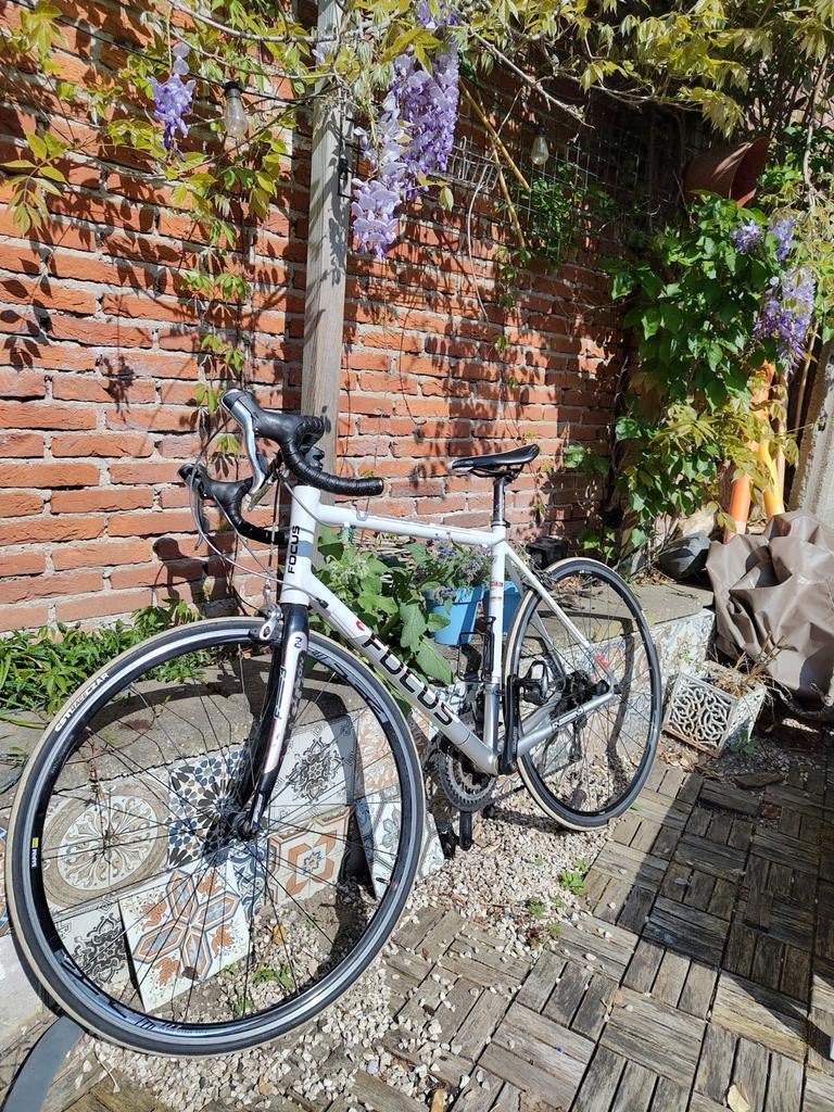 Focus racefiets - lichtgewicht met carbon voorvork, Gebruikt, Aluminium, Meer dan 20 versnellingen, 53 tot 57 cm