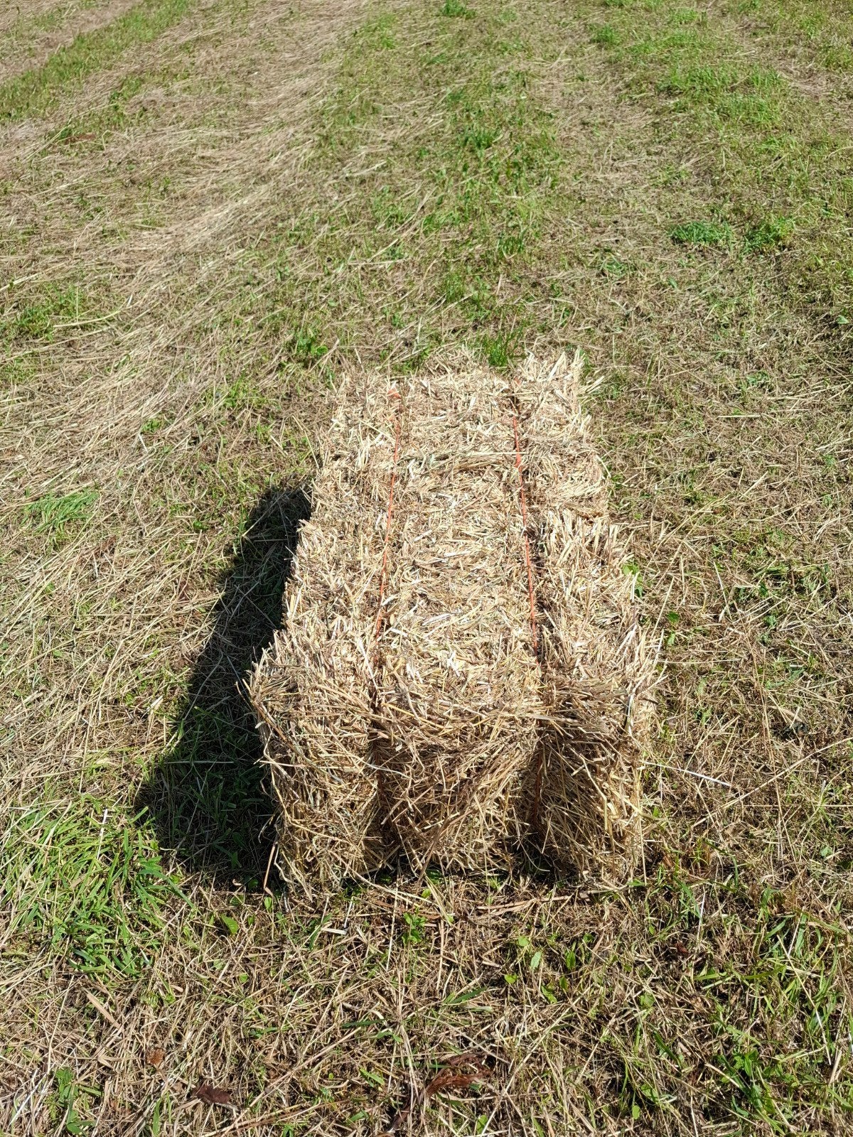 hooi kleine balen, Dieren en Toebehoren, Ophalen, Vee