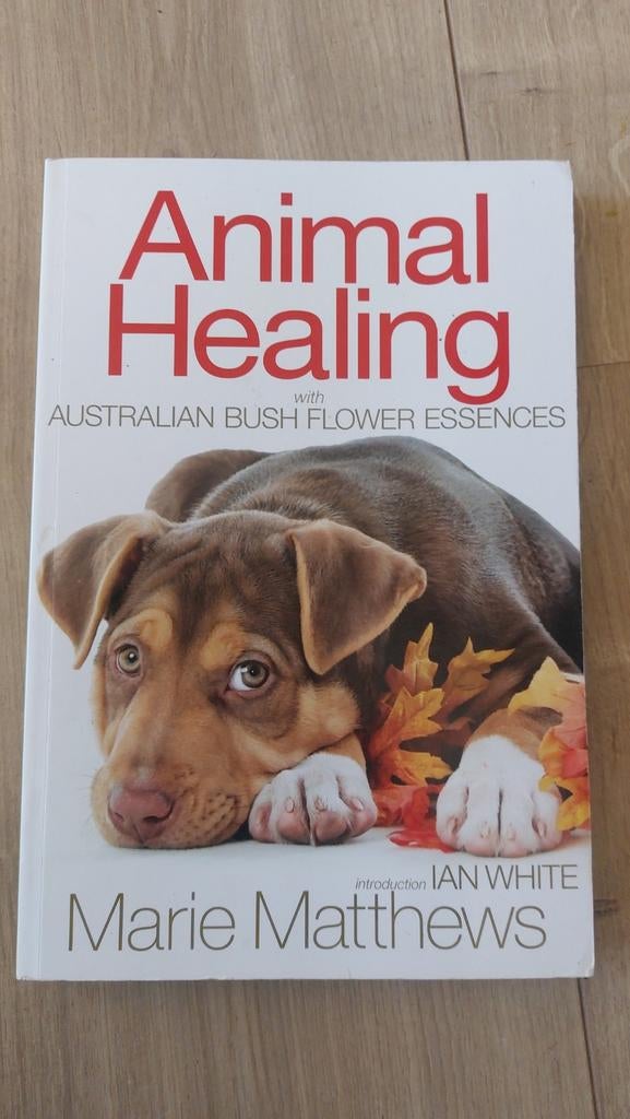 Animal Healing met Australische Bush Bloesem Essences, Ophalen of Verzenden, Zo goed als nieuw, Honden, Marie Matthews