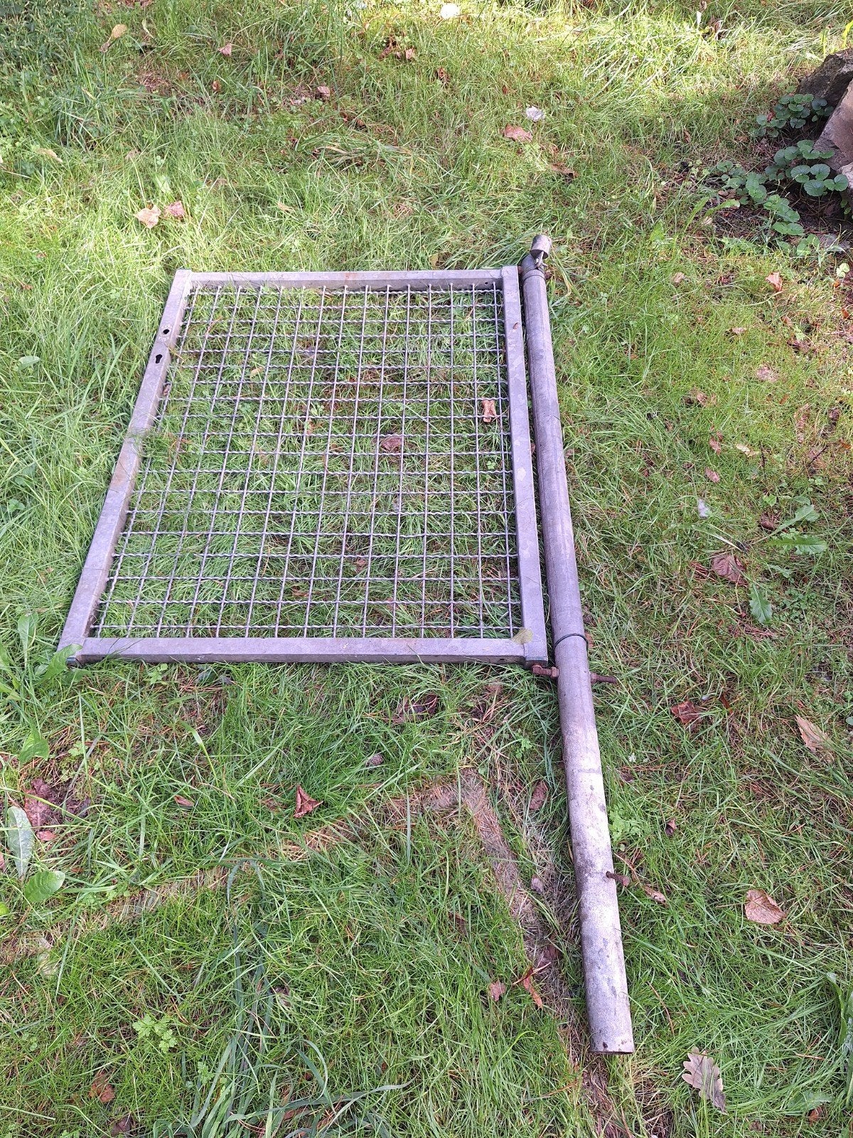poort, Tuin en Terras, Ophalen of Verzenden, Gebruikt, IJzer, Sierhekwerk