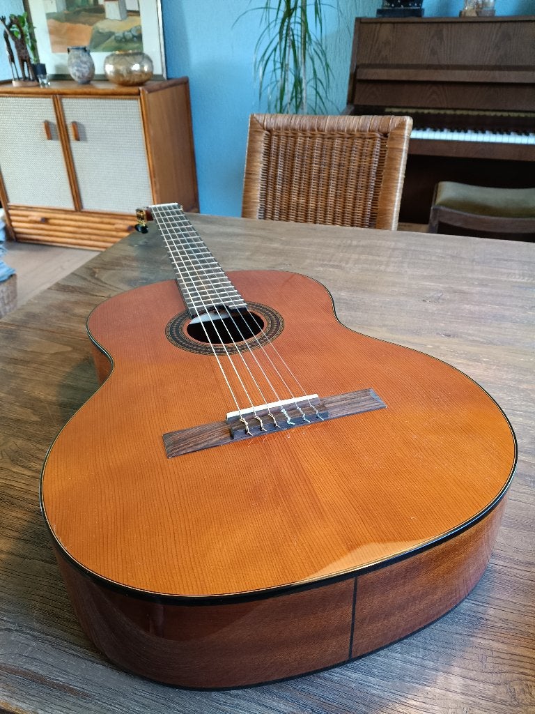 Spaanse gitaar Martinez MCG-40C 4/4, Ophalen, Zo goed als nieuw, Klassieke of Spaanse gitaar, Met koffer