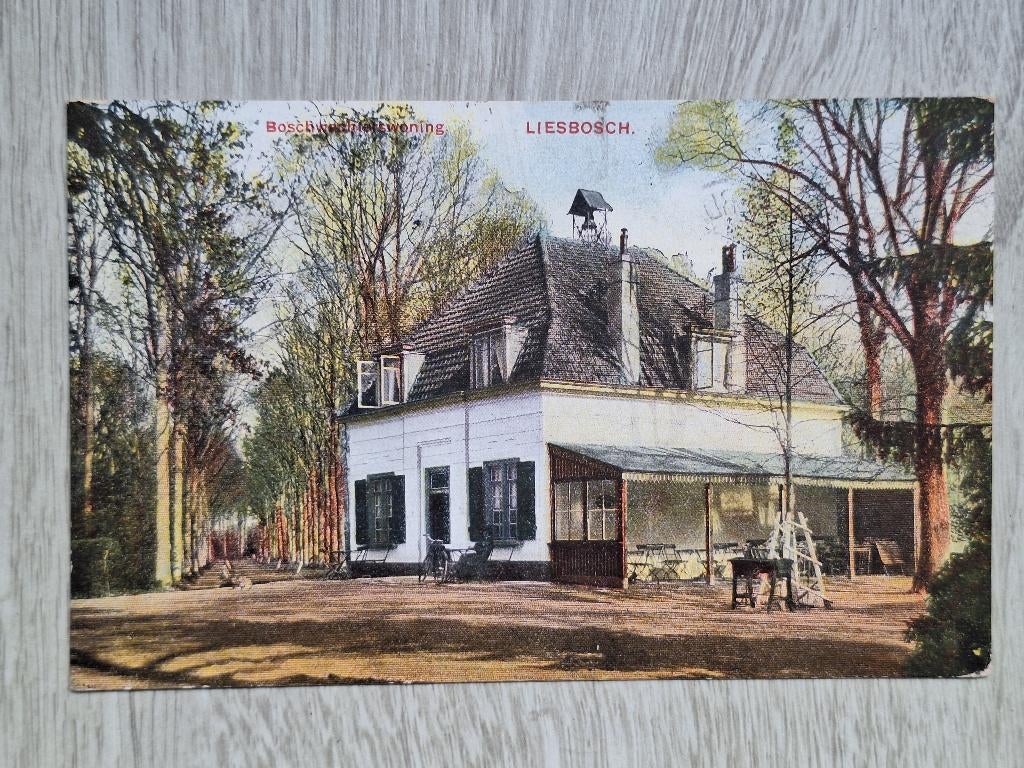 ansichtkaart Breda Princenhage boswachter Liesbosch kleur, Ophalen of Verzenden, 1940 tot 1960, Gelopen, Noord-Brabant