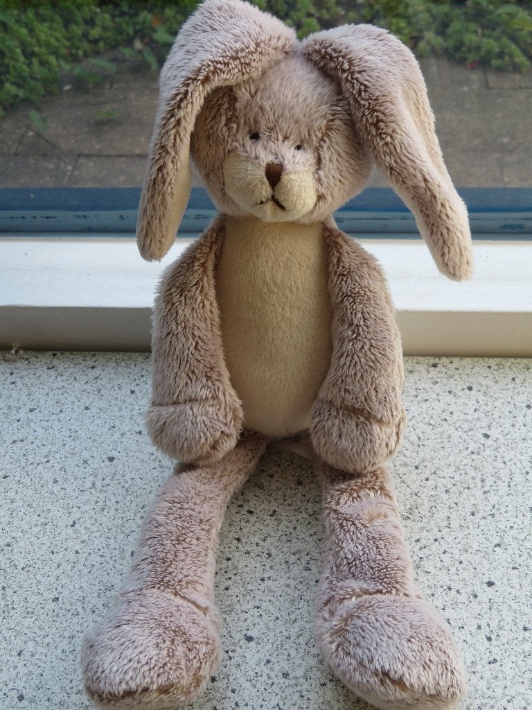 Konijn van Toys Amsterdam TAKE ME HOME meet ca 30 cm, Ophalen of Verzenden, Zo goed als nieuw, Konijn, Korrelvulling