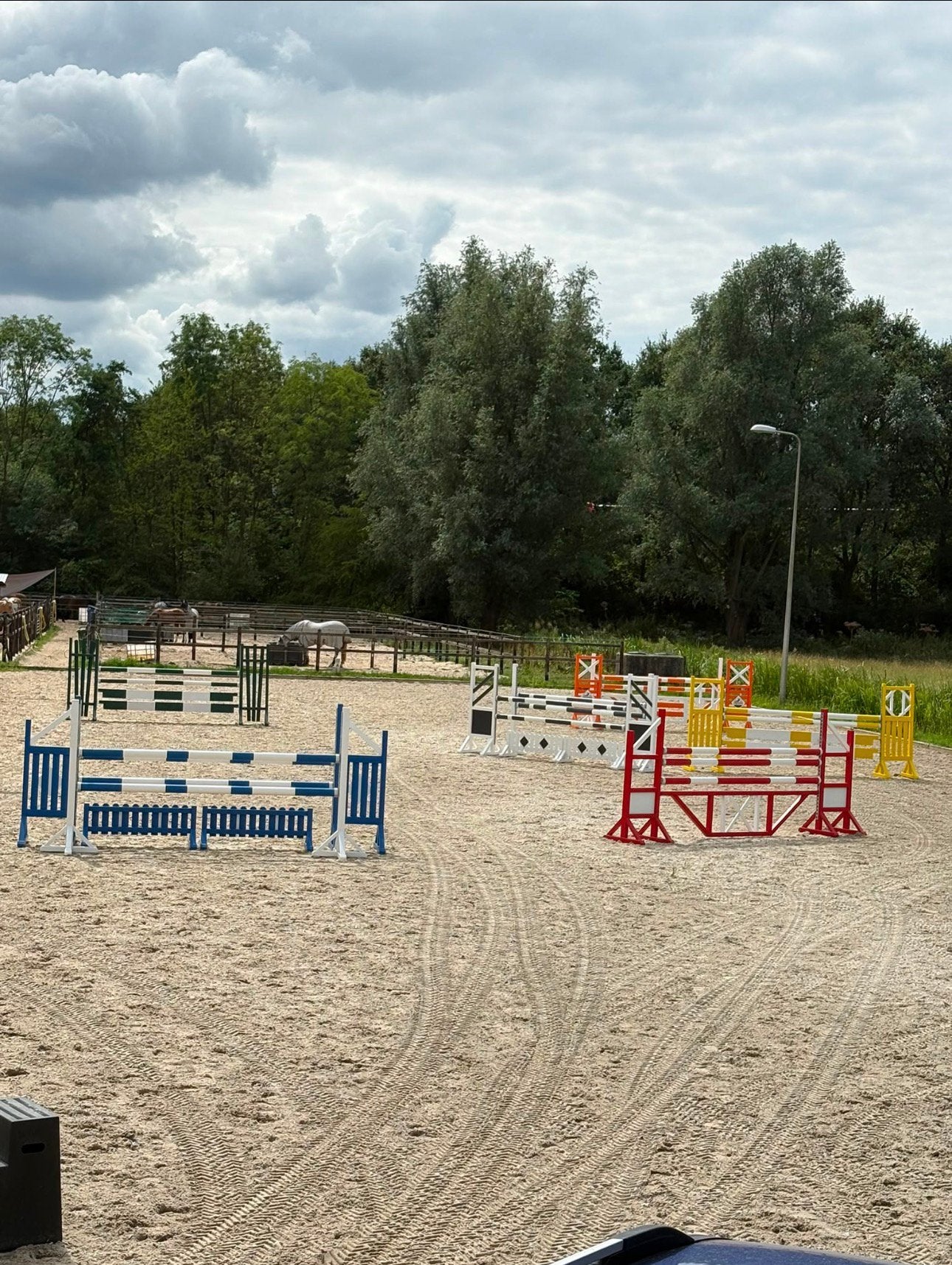 Professionele stal 7 stallen in grootverhuur, Opfok, 4 paarden of pony's of meer