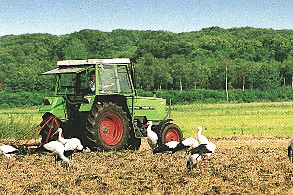 984028 De Wijk Dr 80+ Gelopen met Postzegel, Verzamelen, Ophalen of Verzenden, 1980 tot heden, Gelopen, Drenthe