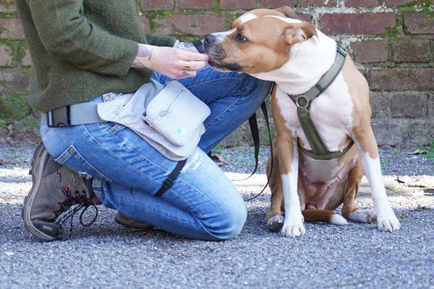 AnnyX Sidebag - Heuptas voor Hondentraining, Wandelen, Overige typen, Overige merken, Breitschneiderweg 117b Ratingen, Nieuw
