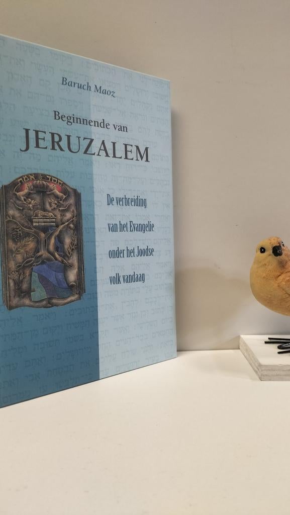 Maoz, Baruch; Beginnende van Jeruzalem, Ophalen of Verzenden, Gelezen, Christendom | Protestants