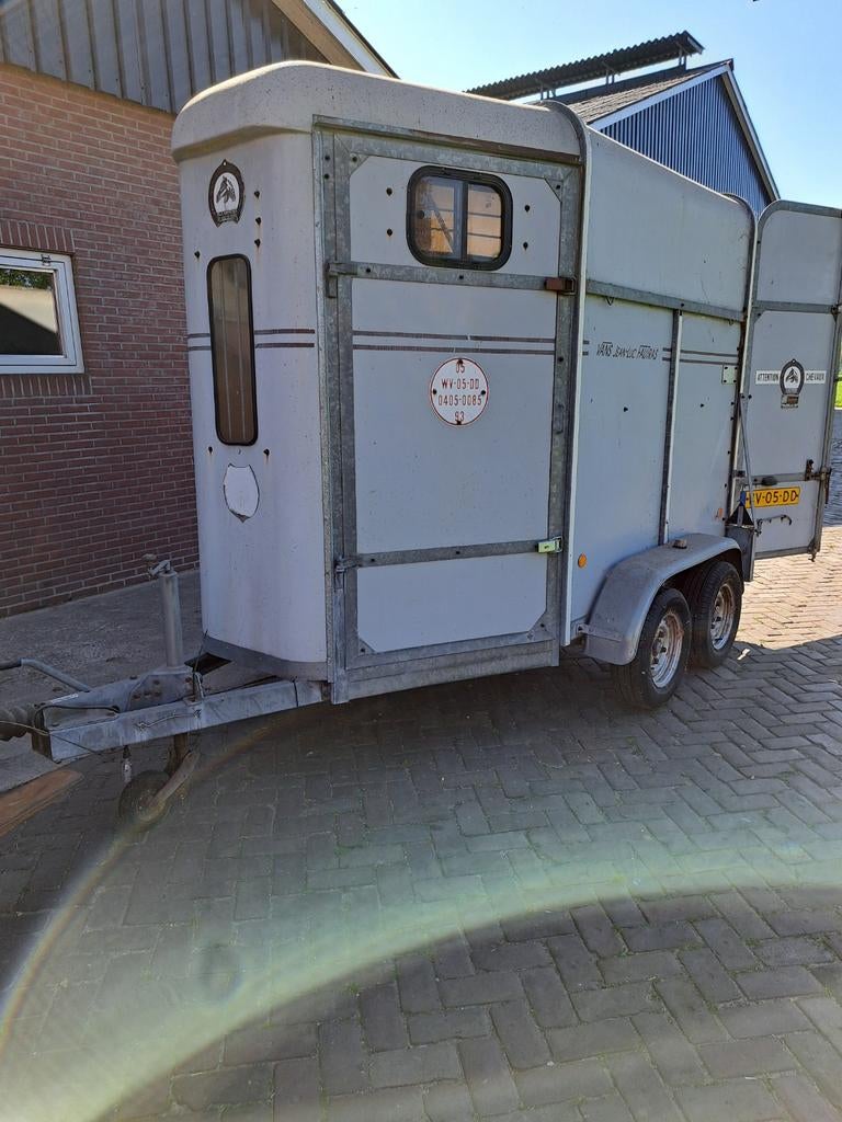 Fautras 2 paards, Dieren en Toebehoren, Ophalen