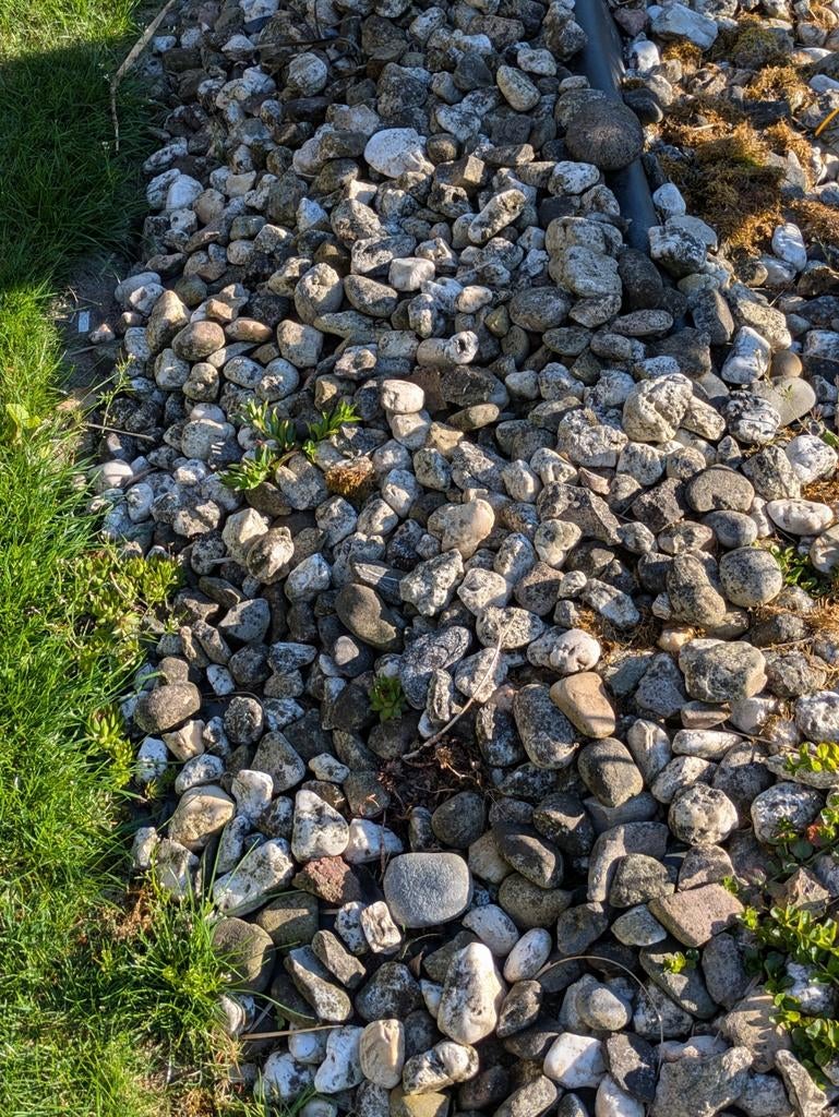 ***GRATIS*** partij keien en veldkeien voor tuin of vijver, Tuin en Terras, Ophalen, Gebruikt, Grijs, Kei