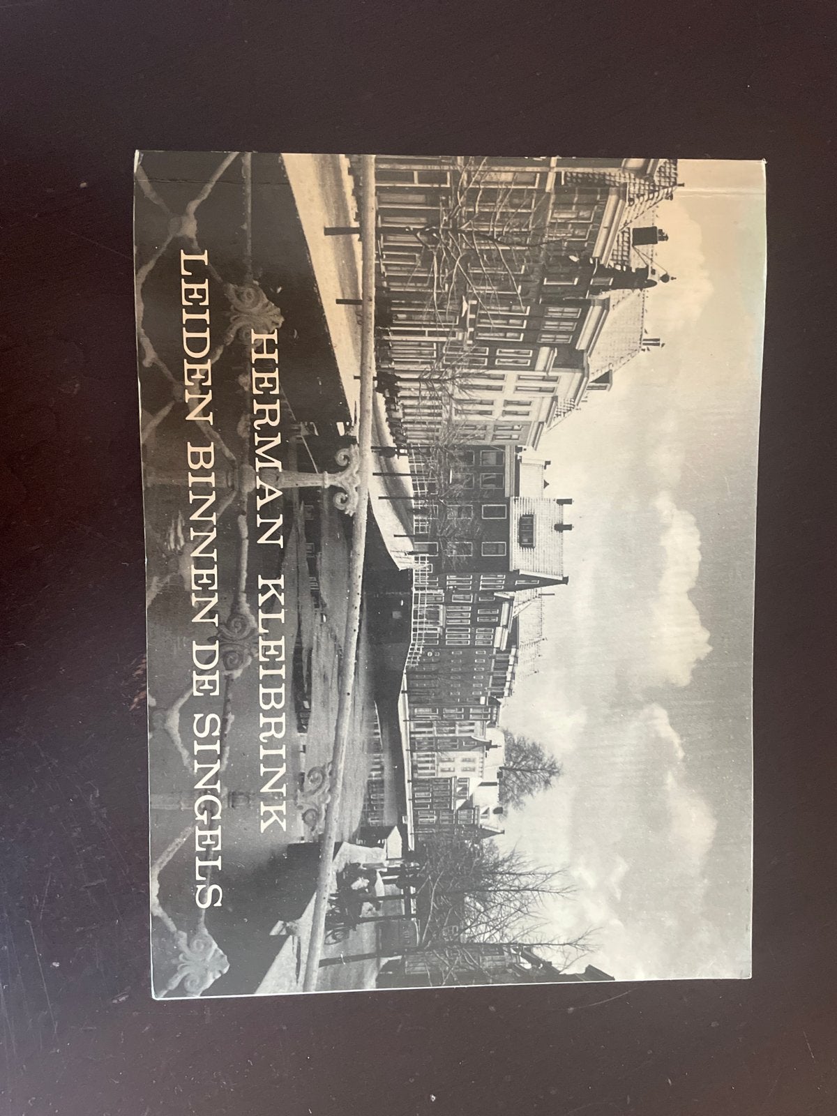 Leiden Binnen De Singels - Herman Kleibrink (1981), Boeken, Geschiedenis | Stad en Regio, Ophalen of Verzenden, 20e eeuw of later