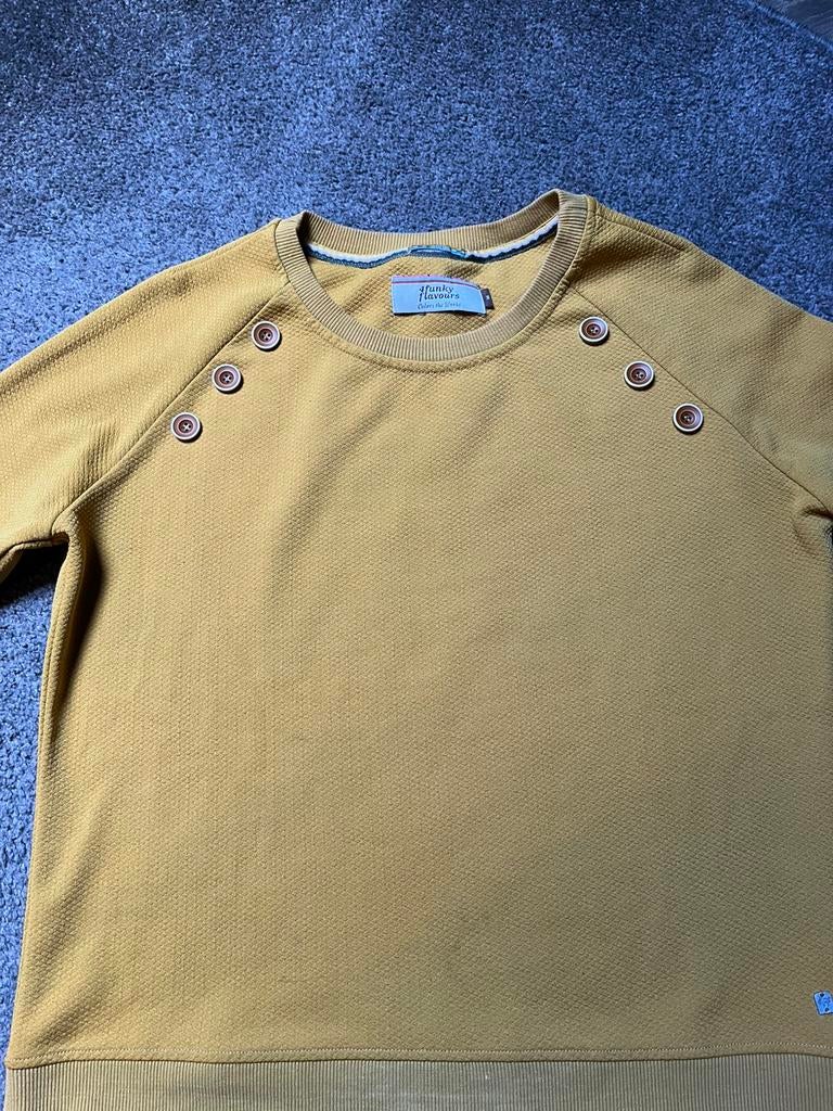 Four Funky Flavours 4FF sweater trui in maat M, Ophalen of Verzenden, Zo goed als nieuw, Maat 38/40 (M), Geel