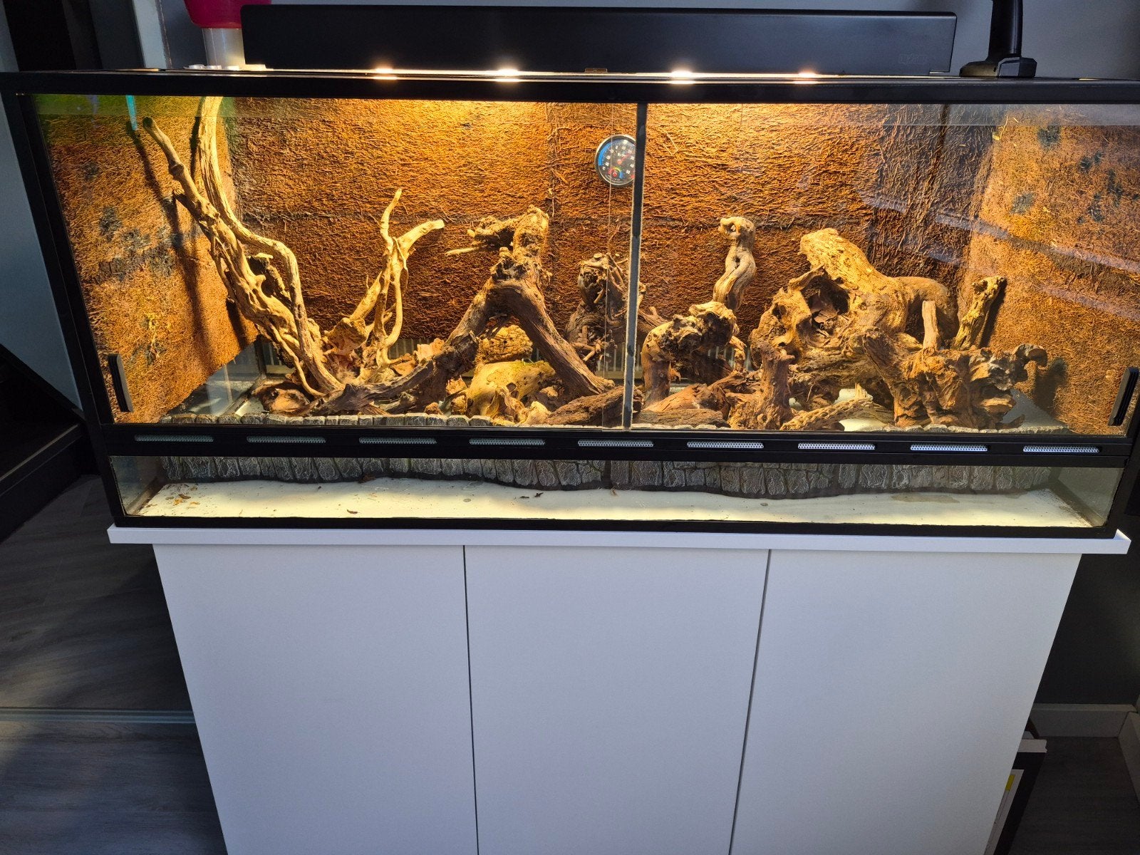 paludarium, Ophalen, Zo goed als nieuw, Terrarium of Paludarium
