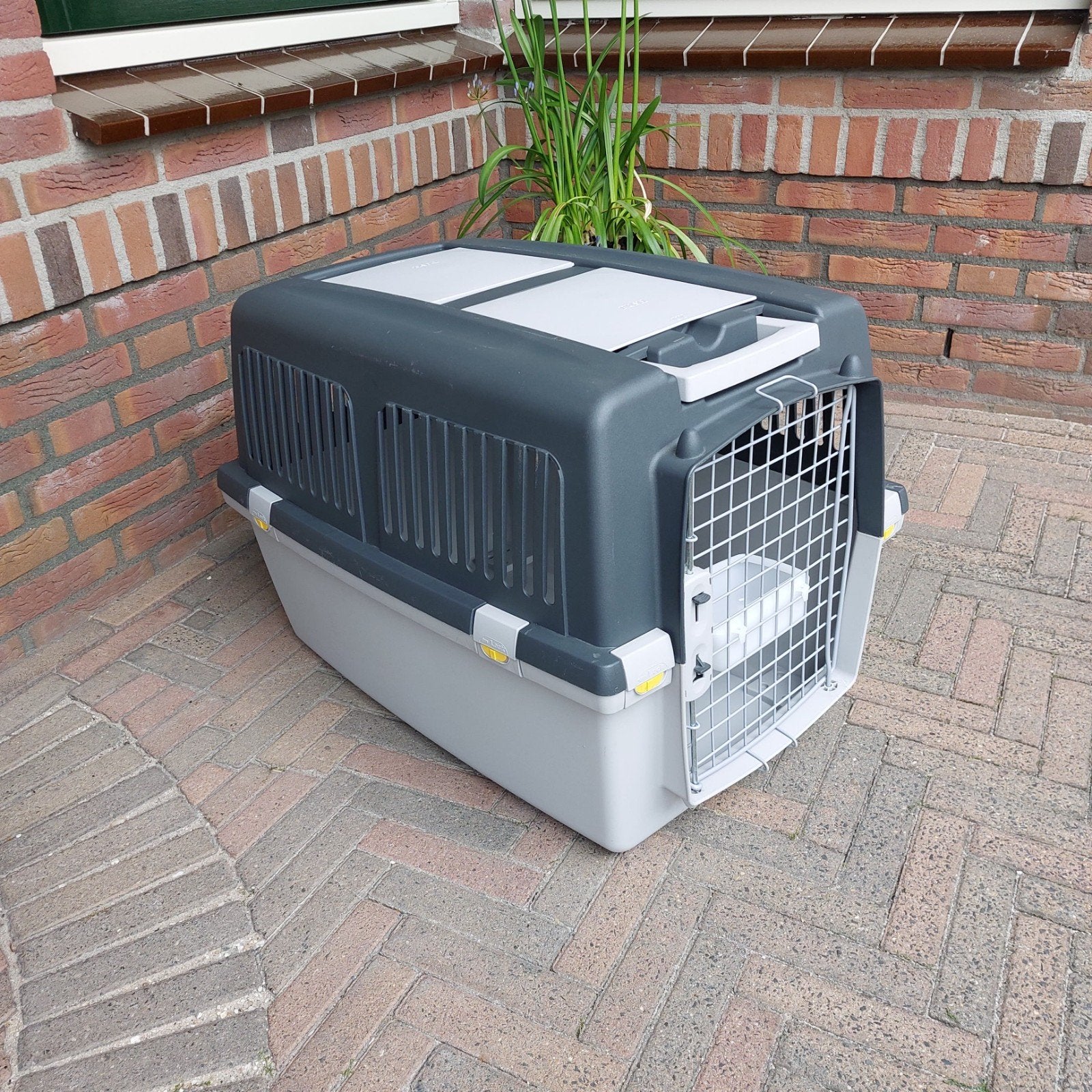 Transportbox / Bench Guliver 4, buitenafmeting 71 x 50 x 51, Dieren en Toebehoren, Ophalen, Zo goed als nieuw