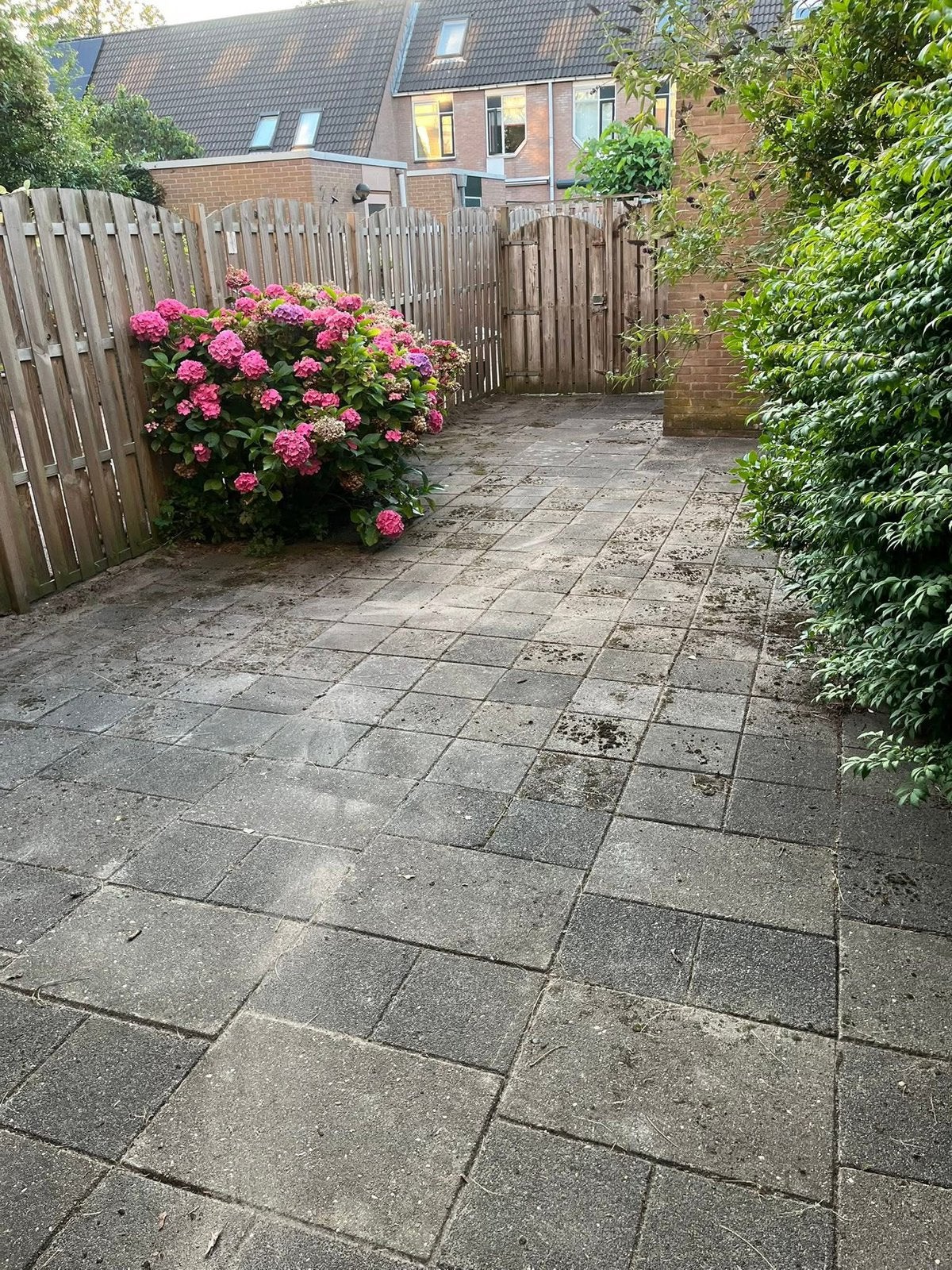 Tuinman aangeboden /tuinonderhoud /geen uurtarief, Diensten en Vakmensen, Tuinmannen en Stratenmakers