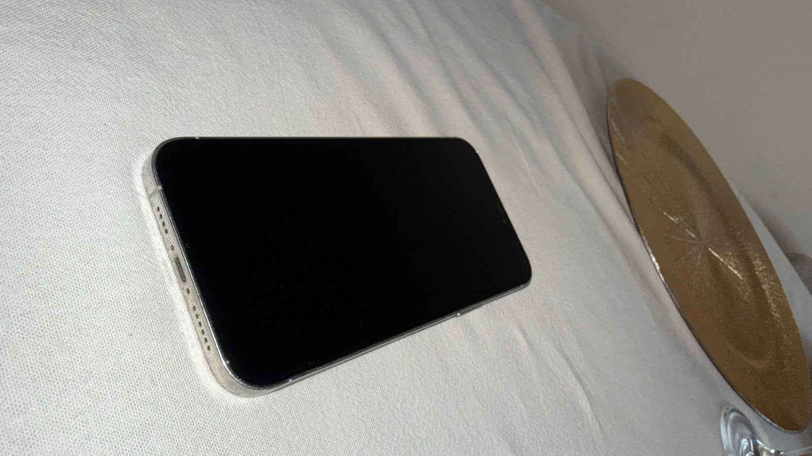 Foto 8 van iPhone 12 Pro Max 256GB Wit