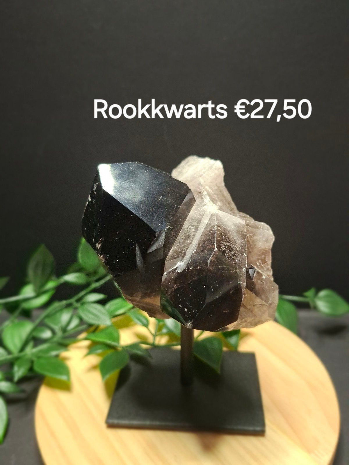 rookkwarts op standaard, Ophalen of Verzenden