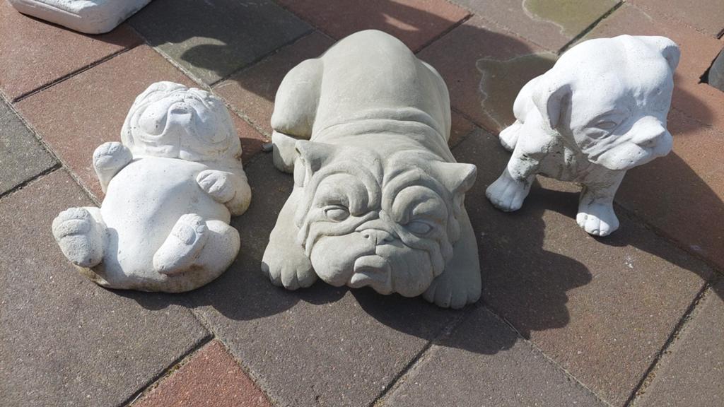 Honden, Tuin en Terras, Tuinbeelden, Ophalen of Verzenden