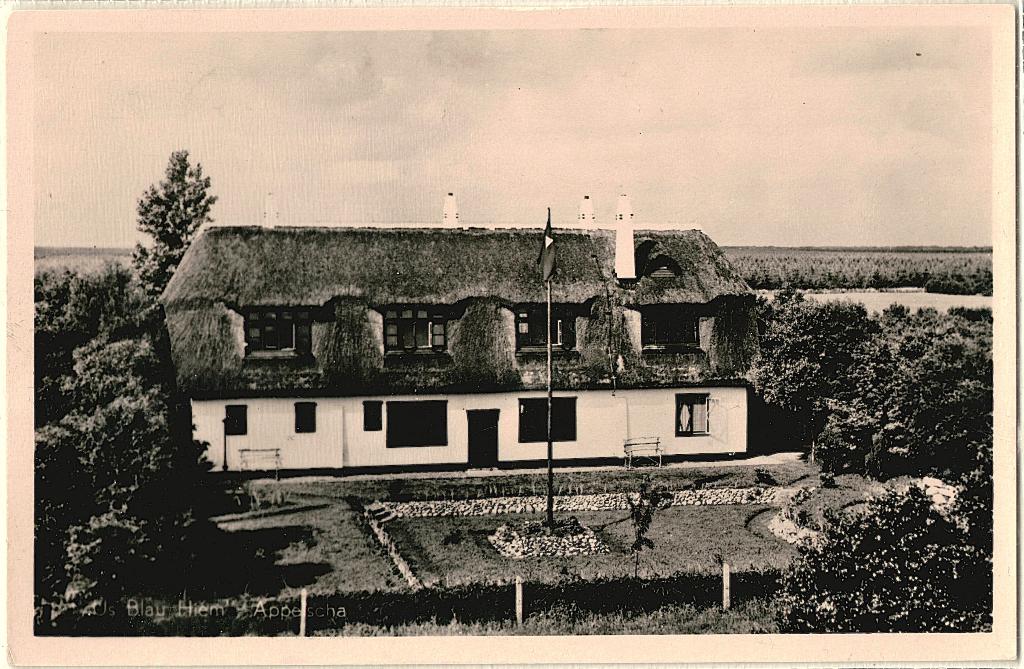 Appelscha Fr, jeugdherberg Us Blau Hiem, verstuurd 1950,, Verzamelen, Verzenden, 1940 tot 1960, Gelopen, Friesland