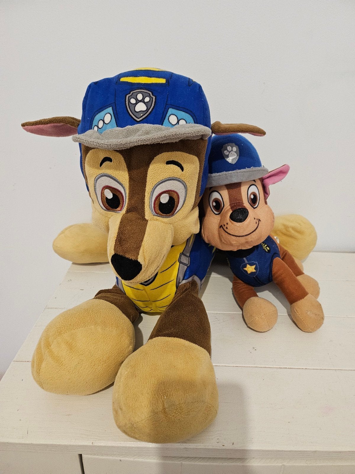 Paw Patrol, Paw Patrol, Ophalen of Verzenden, Zo goed als nieuw, Hond