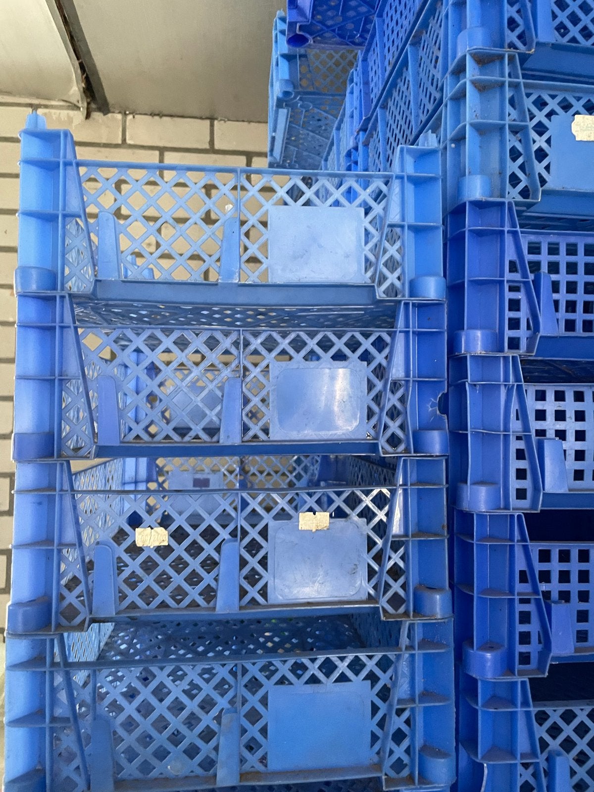 Groenten of planten bakken inclusief pallet, Ophalen, 100 cm of meer, 60 cm of meer, Overige typen