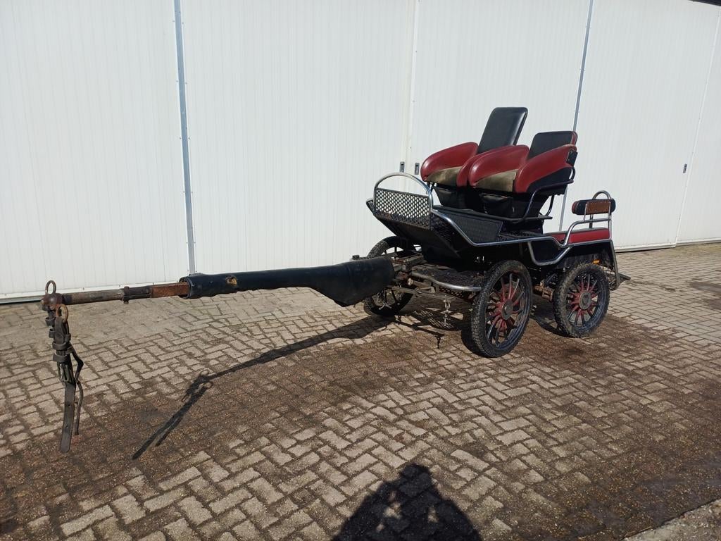 Marathonwagen/ponykar, Paard