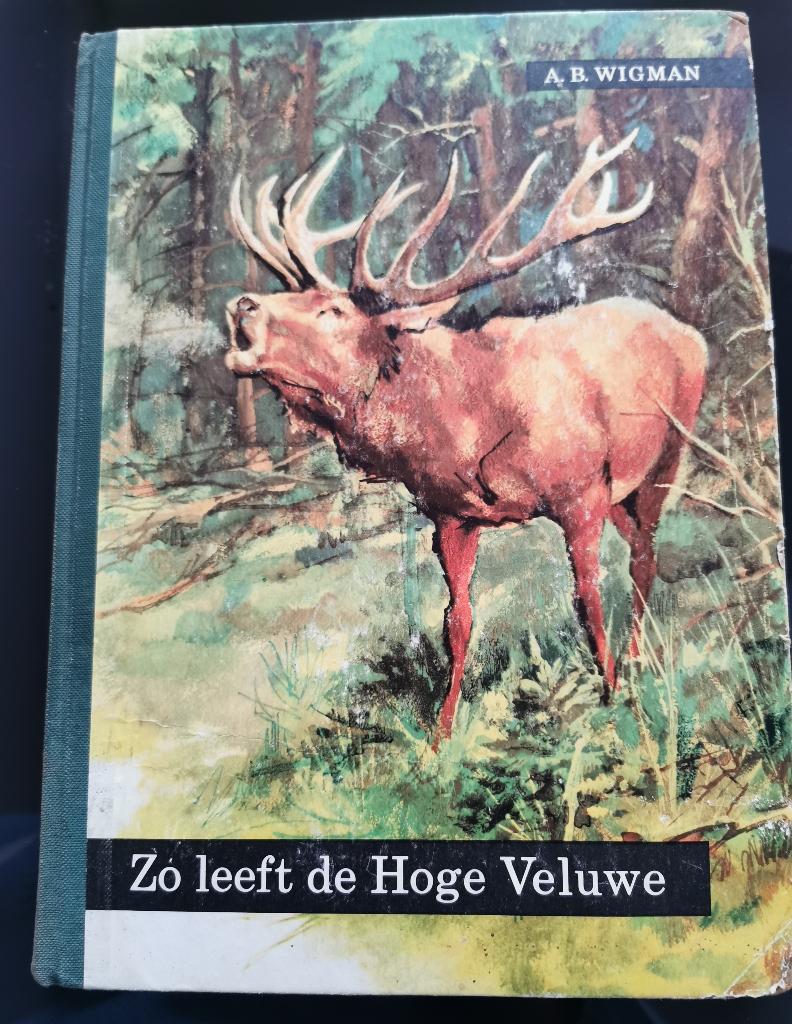 506 .. Zo leeft de hoge Veluwe : A B Wigman, Boeken, Ophalen of Verzenden, Gelezen