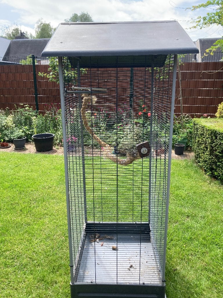 Vogelkooi, Ophalen, Gebruikt, Metaal, Vogelkooi
