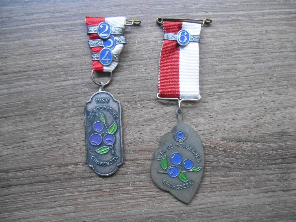 Medaille W.S.V. De Bosbesjes Groesbeek (type 1), Postzegels en Munten, Ophalen of Verzenden, Overige materialen, Nederland