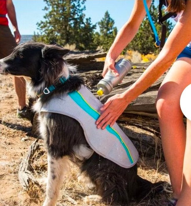 Ruffwear cooler vest mt L, Dieren en Toebehoren, Ophalen of Verzenden