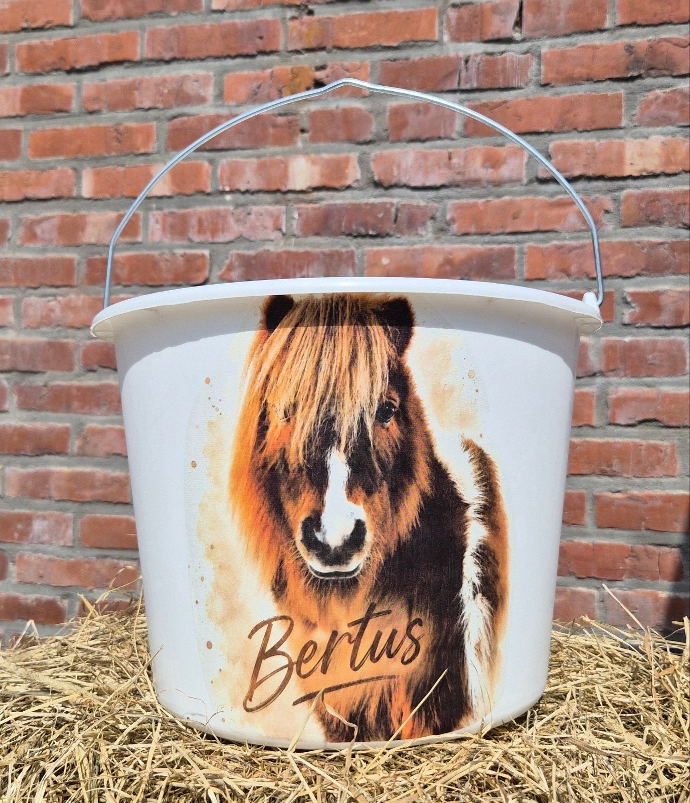 Gepersonaliseerde emmer van je paard, Ophalen of Verzenden
